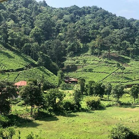Janiro Tea Trees Villas Vythiri Dış mekan fotoğraf