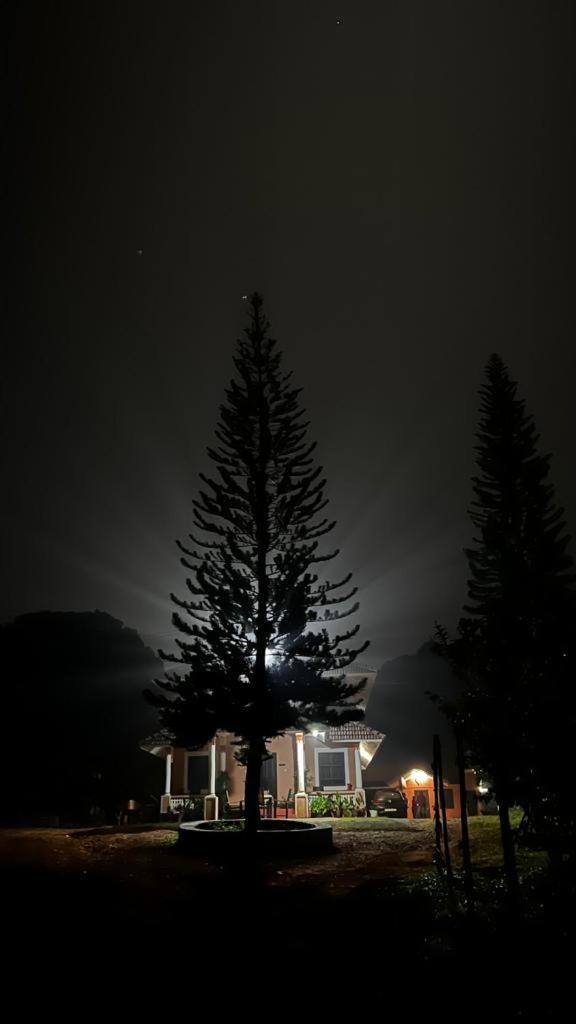 Janiro Tea Trees Villas Vythiri Dış mekan fotoğraf