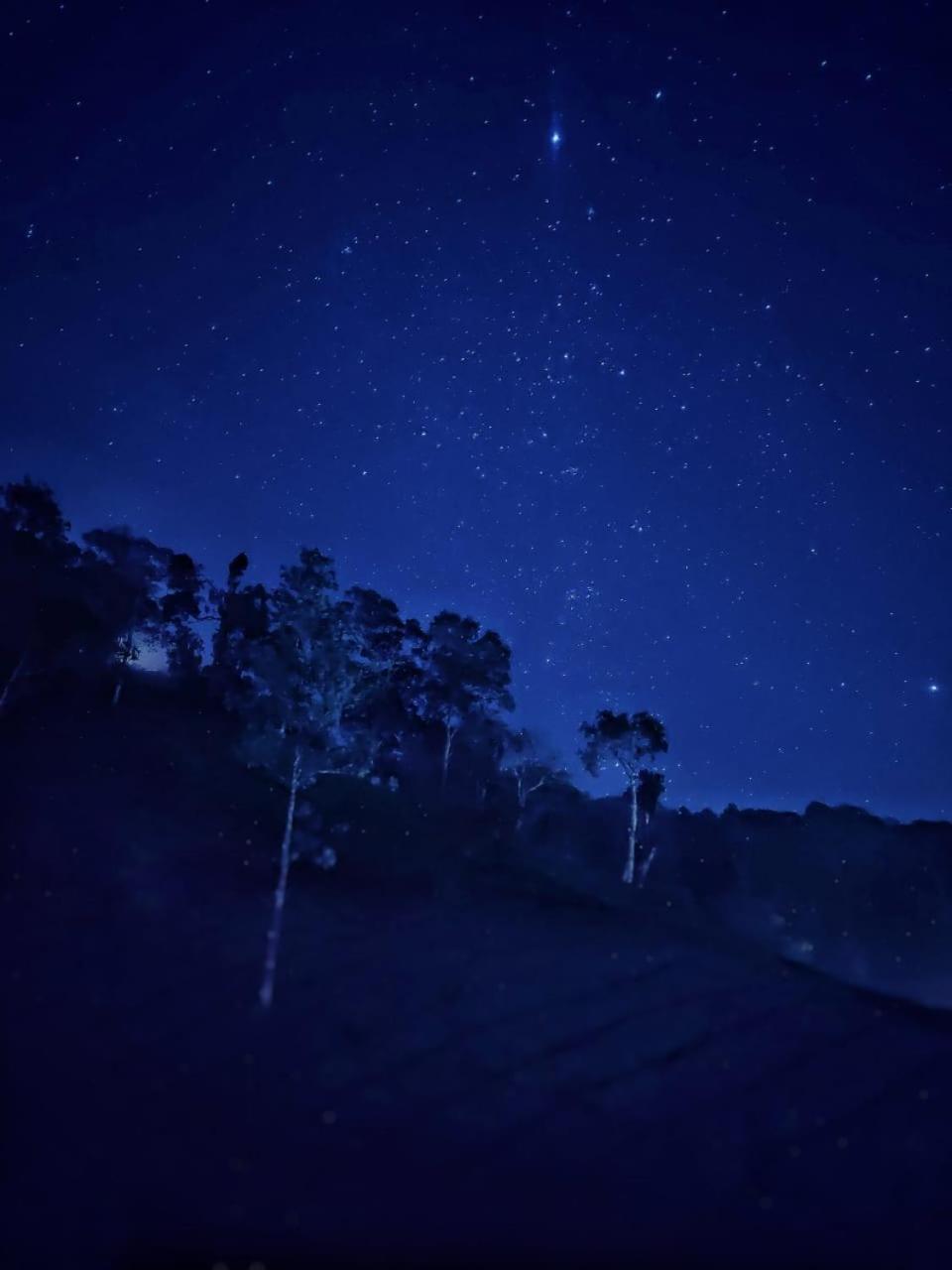 Janiro Tea Trees Villas Vythiri Dış mekan fotoğraf