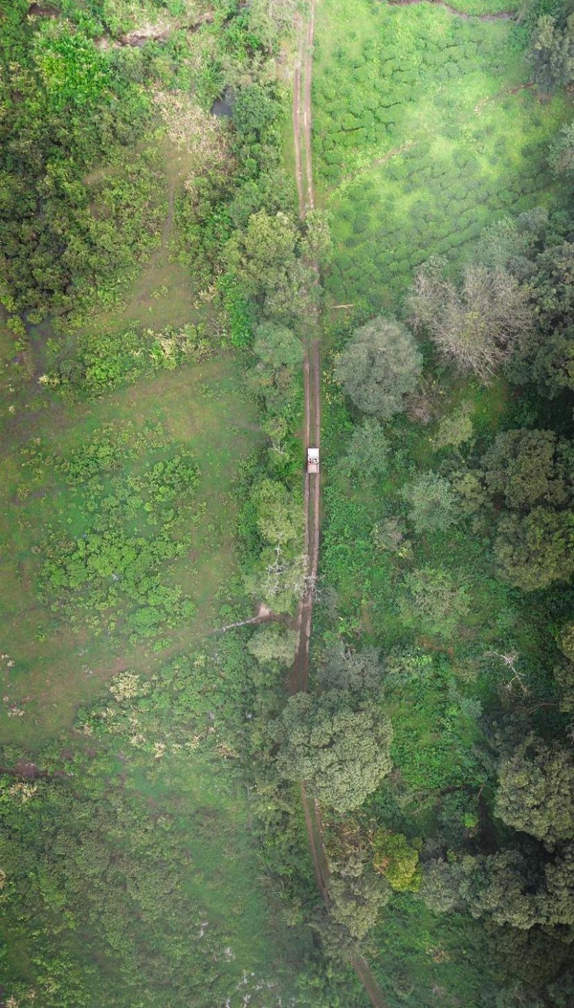 Janiro Tea Trees Villas Vythiri Dış mekan fotoğraf