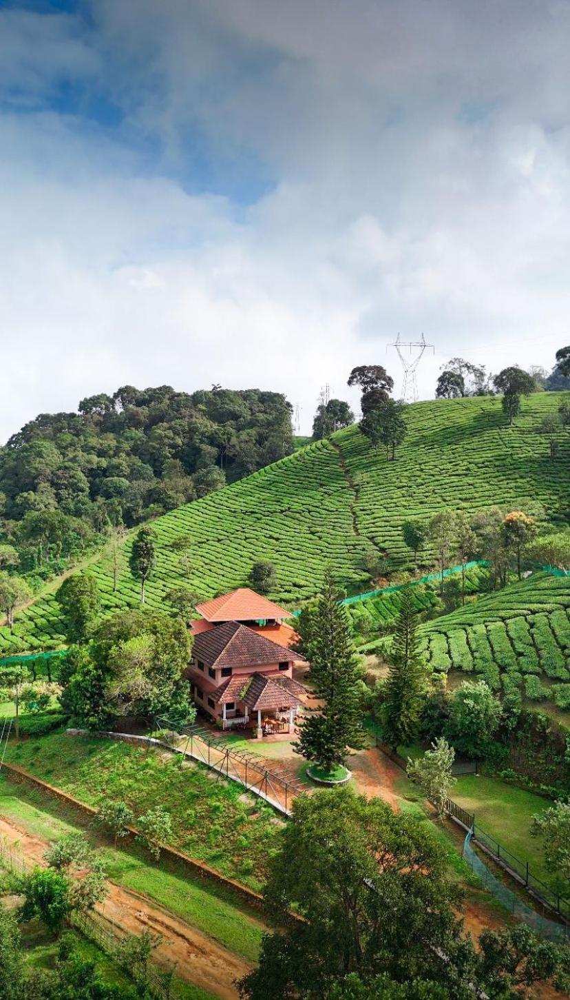 Janiro Tea Trees Villas Vythiri Dış mekan fotoğraf