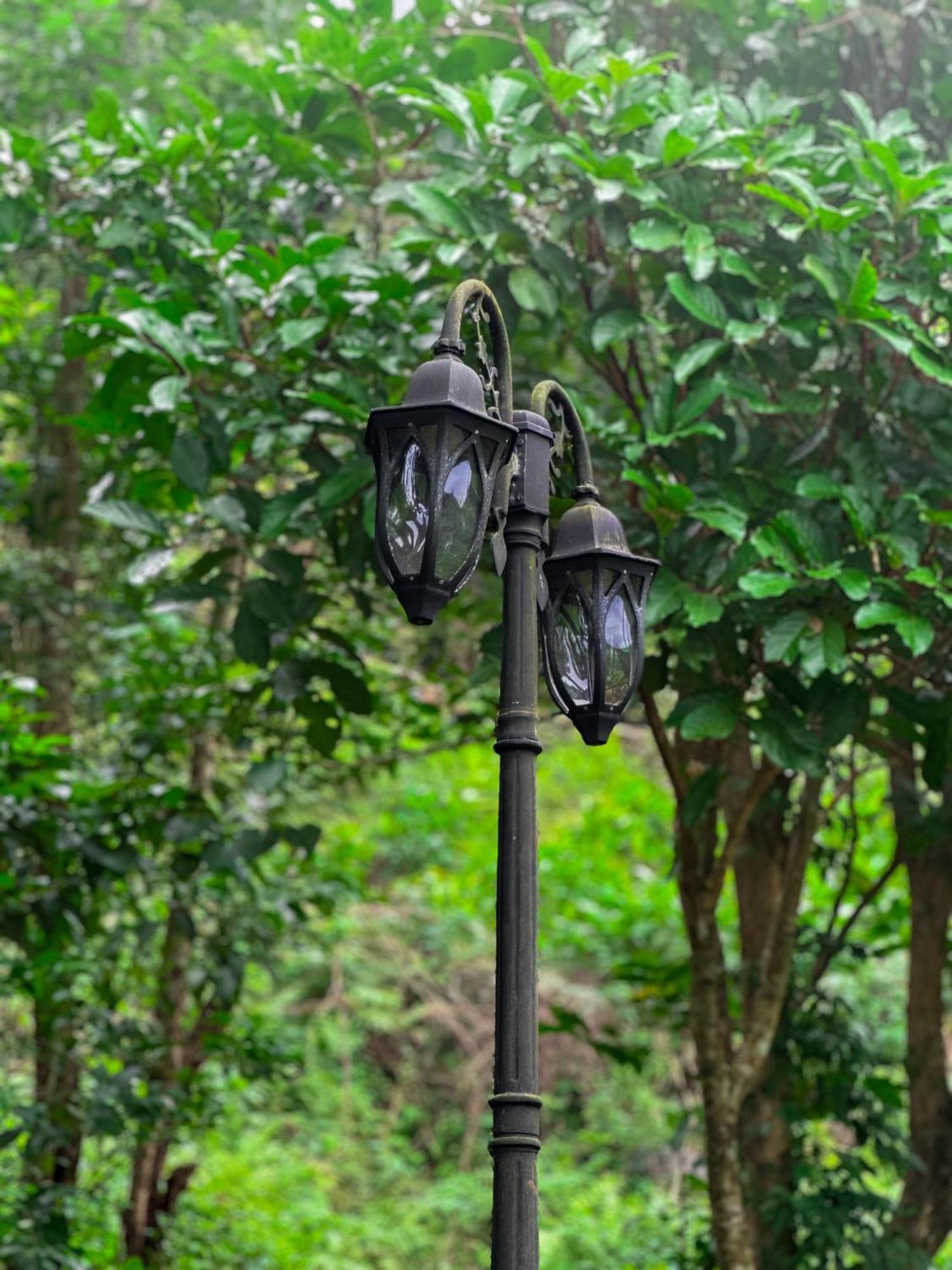 Janiro Tea Trees Villas Vythiri Dış mekan fotoğraf