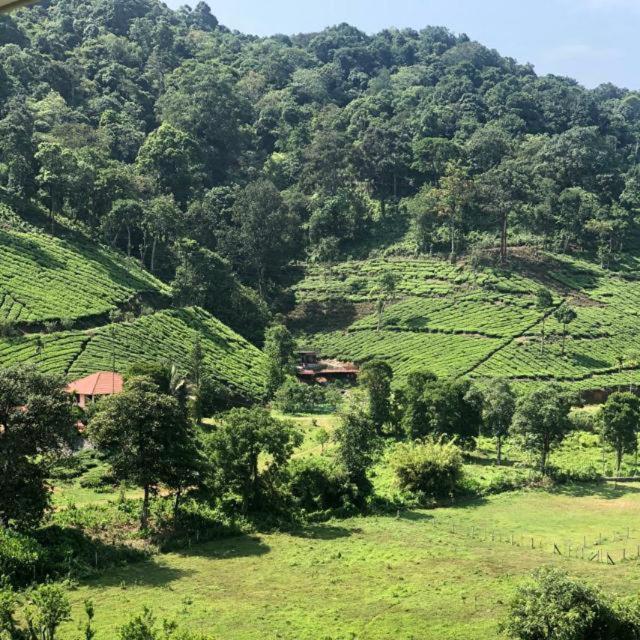Janiro Tea Trees Villas Vythiri Dış mekan fotoğraf