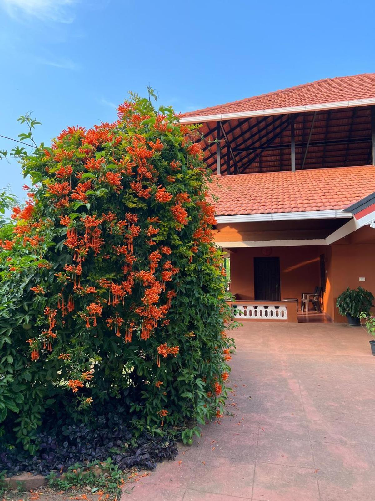 Janiro Tea Trees Villas Vythiri Dış mekan fotoğraf